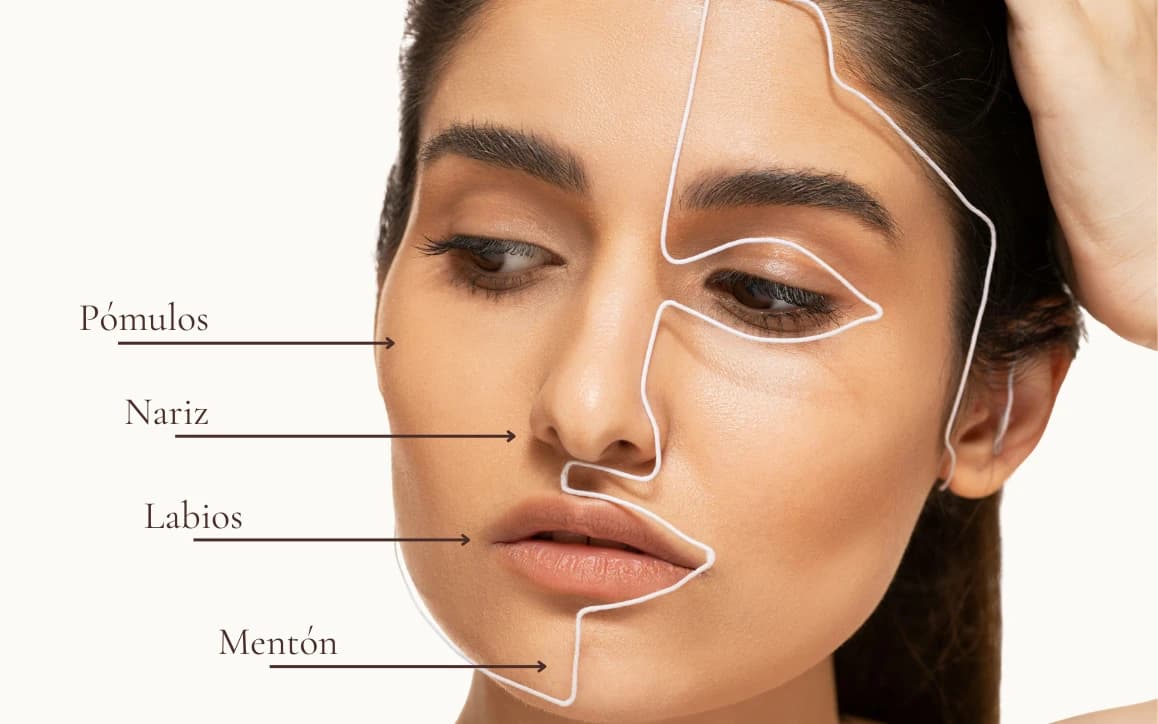 Mapa de armonización facial: pómulos, nariz, labios y mentón