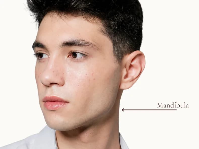 Perfilado Mandibular